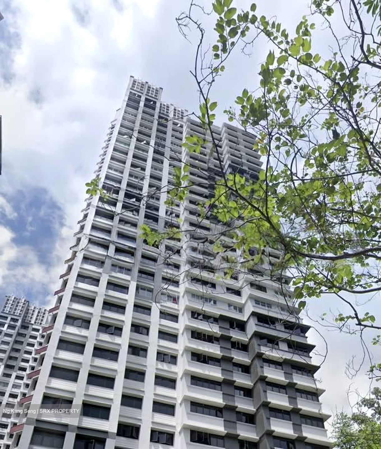 Blk 16 Cantonment Towers (Bukit Merah), HDB 4 Rooms #551451231